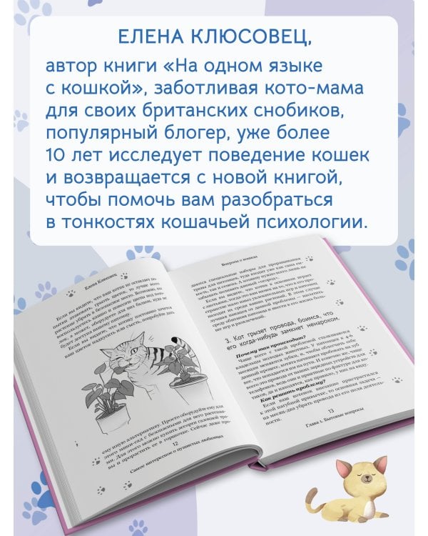 Вопросы о кошках. Самое интересное о пушистых любимцах