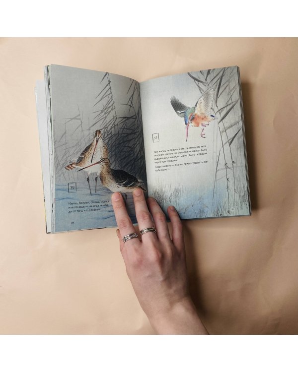 Шепот Вселенной. 101 послание к Тебе, несущее Свет и Тепло