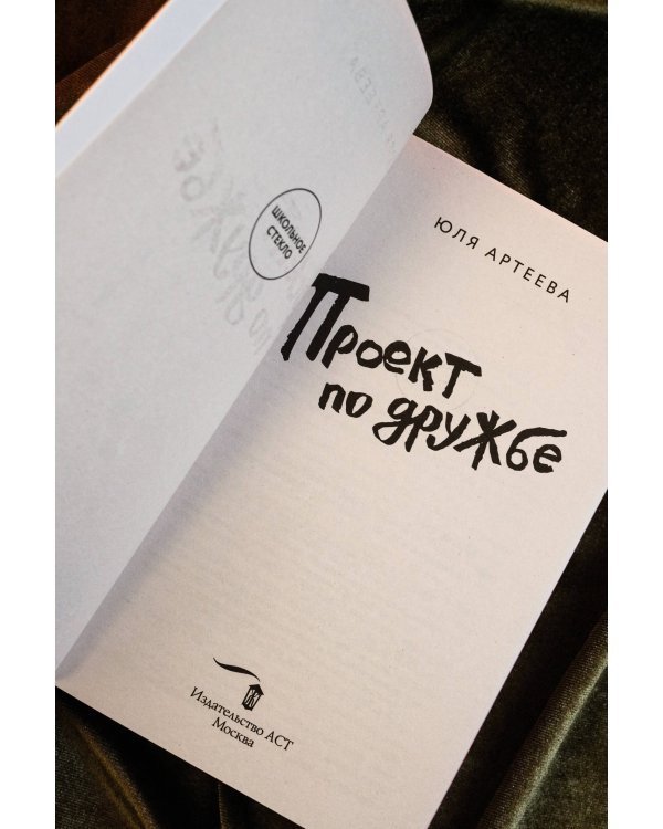 Проект по дружбе