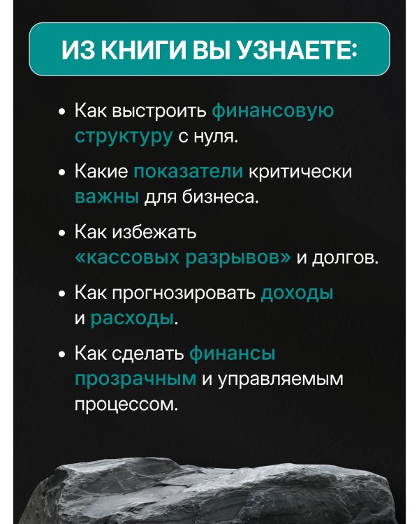 Финансовый навигатор. От хаоса к системе: что нужно знать, чтобы бизнес работал и зарабатывал