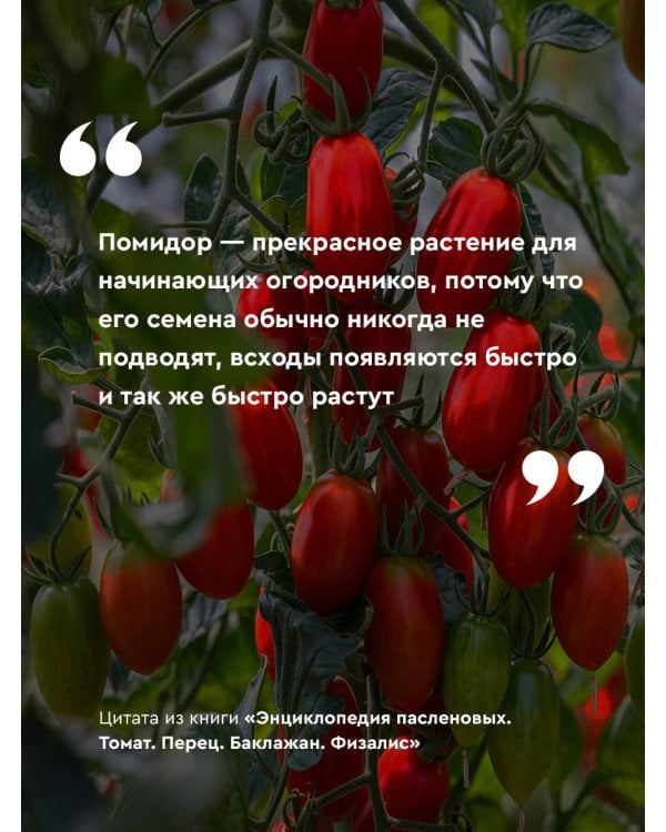 Энциклопедия пасленовых. Томат. Перец. Баклажан. Физалис