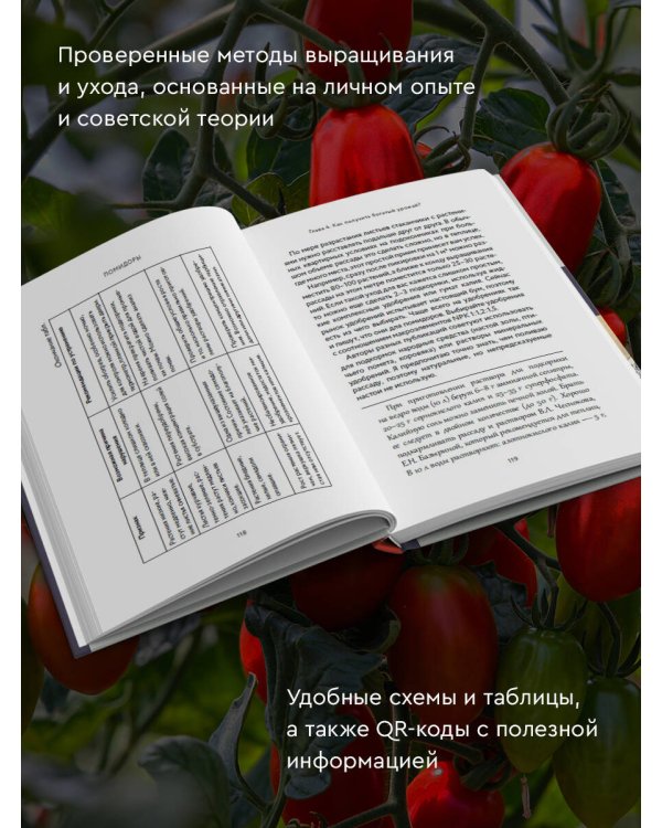 Энциклопедия пасленовых. Томат. Перец. Баклажан. Физалис