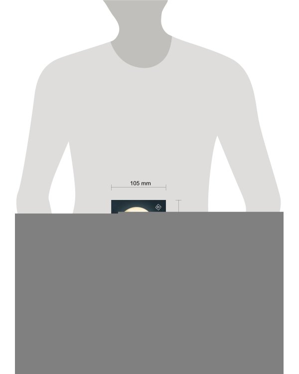 Лунный свет