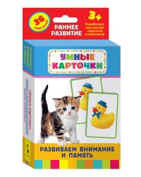 Развиваем внимание и память (Разв. карточки 3+)
