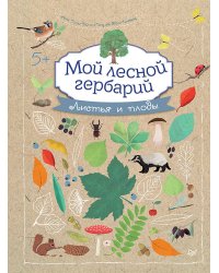 Мой лесной гербарий 5+
