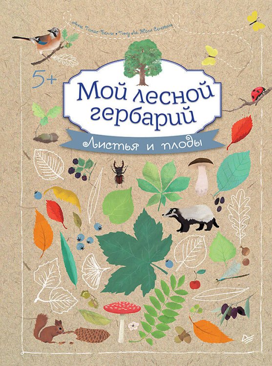 Мой лесной гербарий 5+