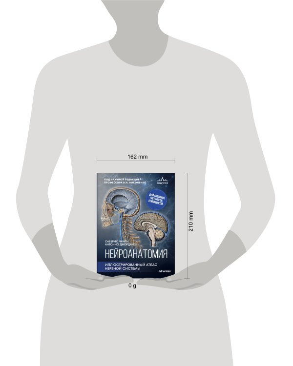 Дополнительное изображение книги «Нейроанатомия. Иллюстрированный атлас нервной системы»