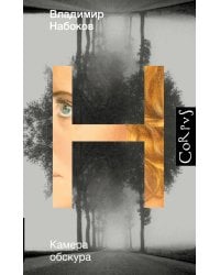 Камера обскура