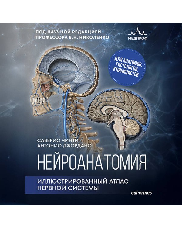 Дополнительное изображение книги «Нейроанатомия. Иллюстрированный атлас нервной системы»