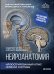 Обложка книги «Нейроанатомия. Иллюстрированный атлас нервной системы» — Чинти Саверио, ISBN 9785041041175
