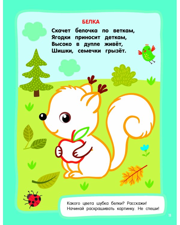 Животные. Раскраски с широким контуром