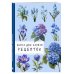 Книга для записи рецептов. Гортензии и голубой цвет