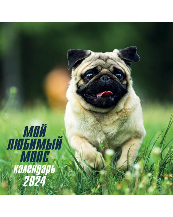 Мой любимый мопс. Календарь настенный на 2024 год (300х300 мм)