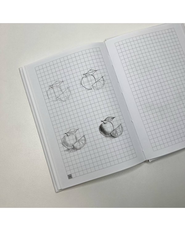 Экспресс-курс по рисованию для начинающих