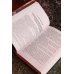 Древний. Предыстория. Книга первая. Истоки