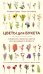 Цветы для букета. Справочник срезанных цветов для начинающего флориста. Что и когда покупать и как продлить цветам жизнь
