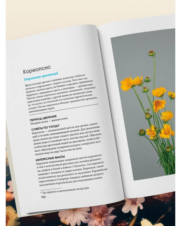 Цветы для букета. Справочник срезанных цветов для начинающего флориста. Что и когда покупать и как продлить цветам жизнь