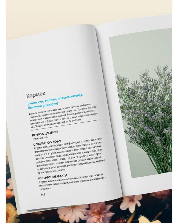 Цветы для букета. Справочник срезанных цветов для начинающего флориста. Что и когда покупать и как продлить цветам жизнь