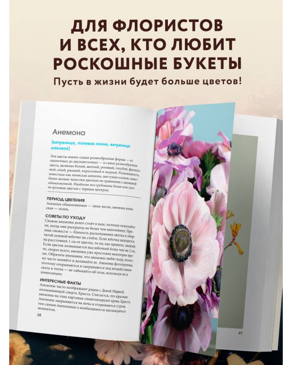 Цветы для букета. Справочник срезанных цветов для начинающего флориста. Что и когда покупать и как продлить цветам жизнь