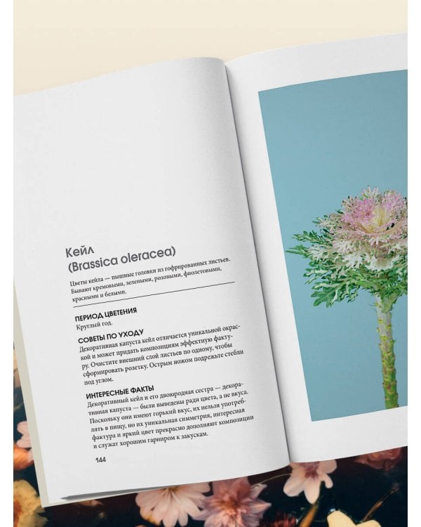 Цветы для букета. Справочник срезанных цветов для начинающего флориста. Что и когда покупать и как продлить цветам жизнь