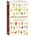 Цветы для букета. Справочник срезанных цветов для начинающего флориста. Что и когда покупать и как продлить цветам жизнь
