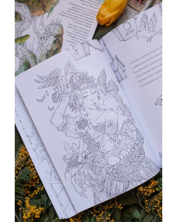 Город чар и зелий. Раскраска с иллюстрациями Аны Награни