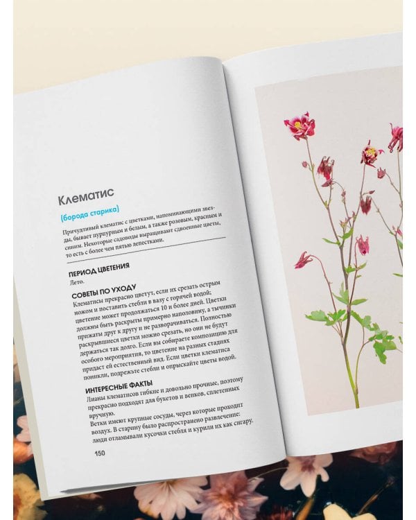 Цветы для букета. Справочник срезанных цветов для начинающего флориста. Что и когда покупать и как продлить цветам жизнь