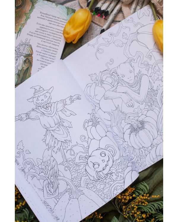 Город чар и зелий. Раскраска с иллюстрациями Аны Награни