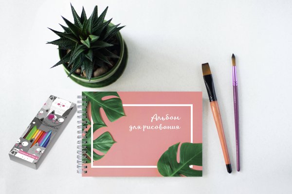 Альбомы для рисования Ботаника. Набор для рисования