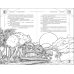 Трилогия "Система" (в подарочном оформлении)