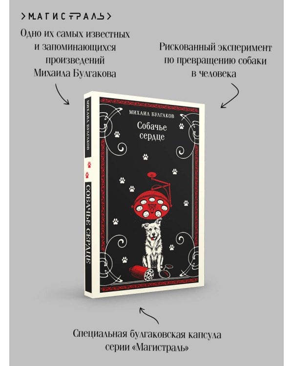 Собачье сердце