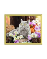 Алмаз. мозаика (класс) 40х50 см, с подр.,с част. заполн.(22 цв.) БРИТАНСКИЙ КОТ (ACD5004)