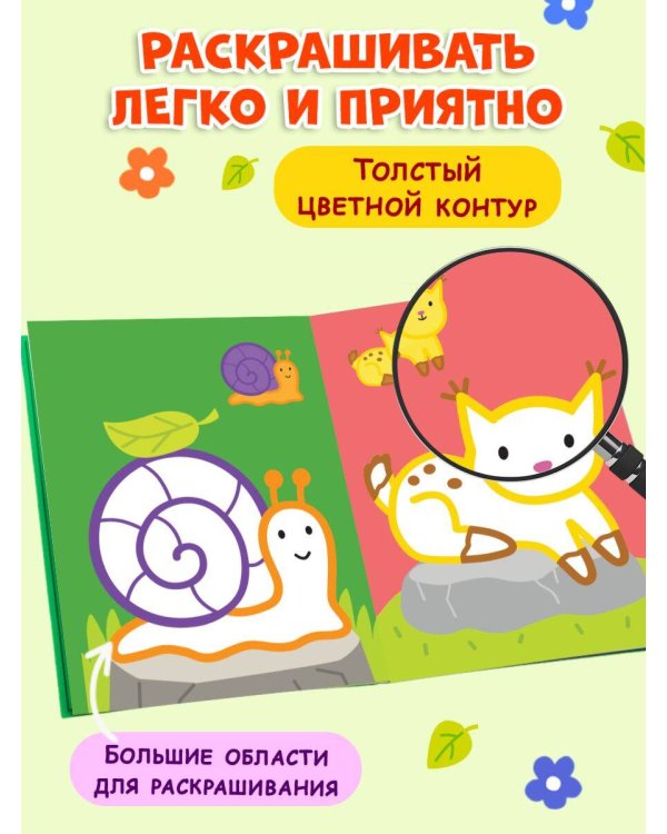 Раскраска с цветным контуром (Улитка)