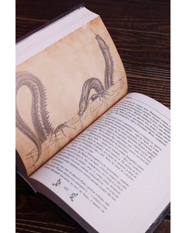 Дополнительное изображение книги «Скиталец. Божественные проповеди»