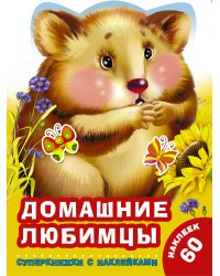 Домашние любимцы