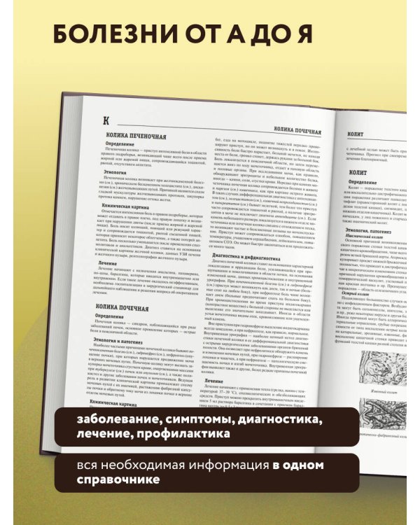 Дополнительное изображение книги «Большая медицинская энциклопедия. Актуализированное издание бестселлера (обновленное издание)»