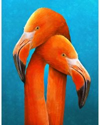 Алмаз.моз.(класс.)17х22 см,с подр.,с полн.зап.(13 цв.) Милующиеся фламинго (Арт. AC17096)