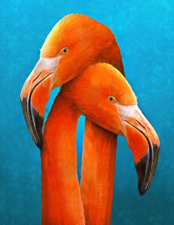 Алмаз.моз.(класс.)17х22 см,с подр.,с полн.зап.(13 цв.) Милующиеся фламинго (Арт. AC17096)