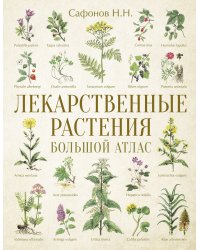 Лекарственные растения. Большой атлас