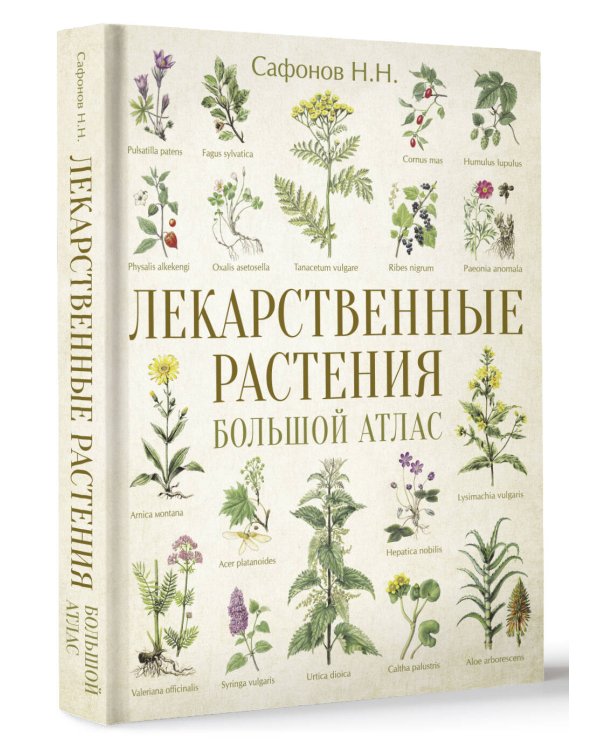 Лекарственные растения. Большой атлас