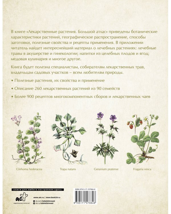 Лекарственные растения. Большой атлас