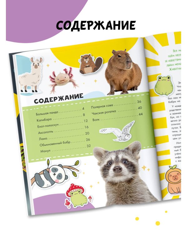 Капибара и другие мемные животные
