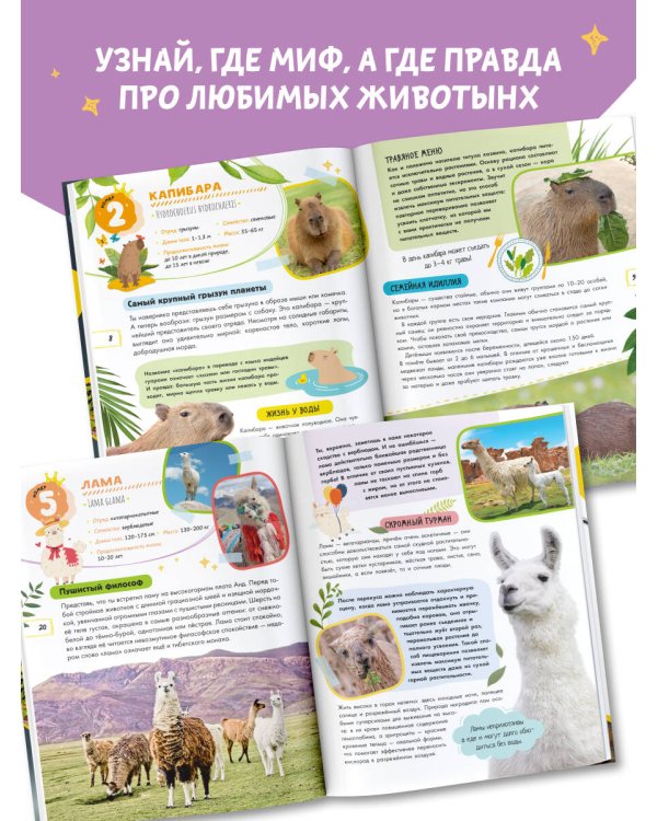 Капибара и другие мемные животные