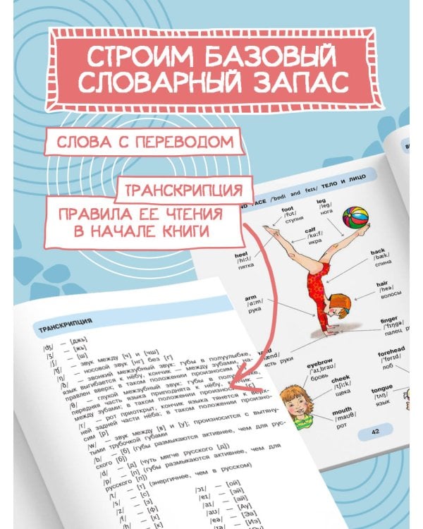 620 первых английских слов в иллюстрациях