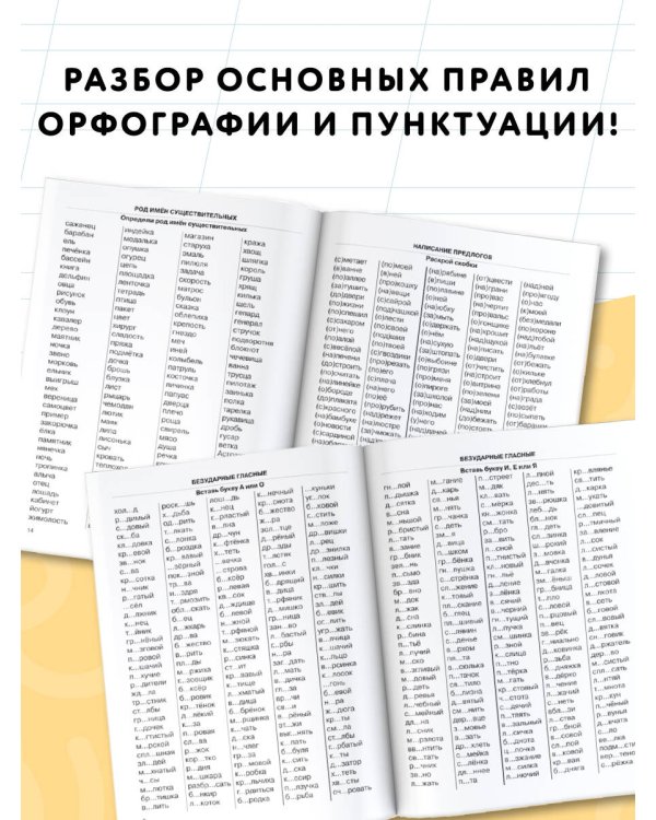 3000 примеров по русскому языку. 2 класс. Крупный шрифт