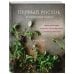 Кулинария. Зеленый путь Первый росток. Яркие веганские рецепты для правильного сезонного питания