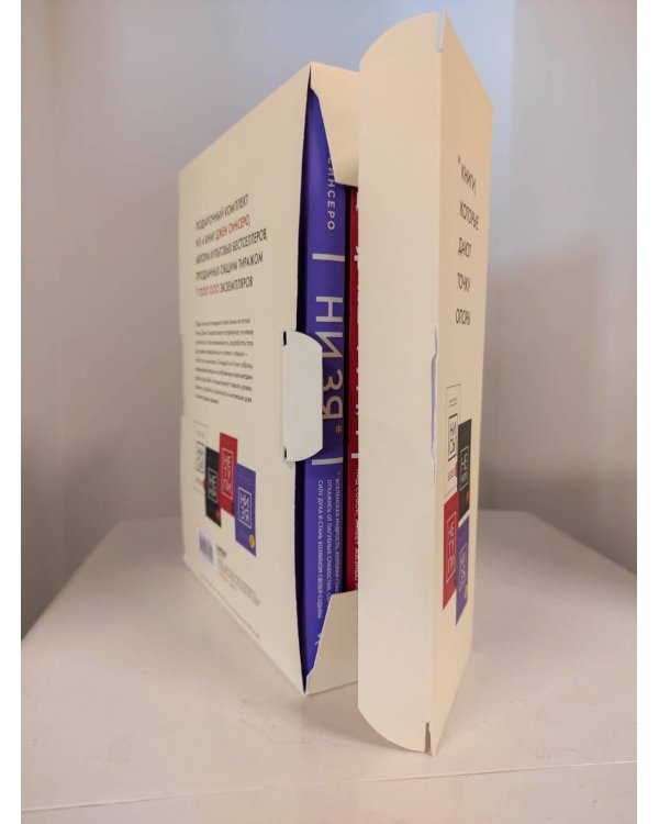 В любой ситуации НИ СЫ, НЕ НОЙ и НЕ ТУПИ, потому что НИ ЗЯ! Комплект книг, которые дают точку опоры