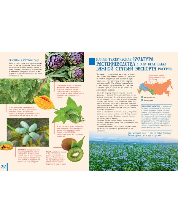 100 вопросов по географии России, ответы на которые должен знать каждый