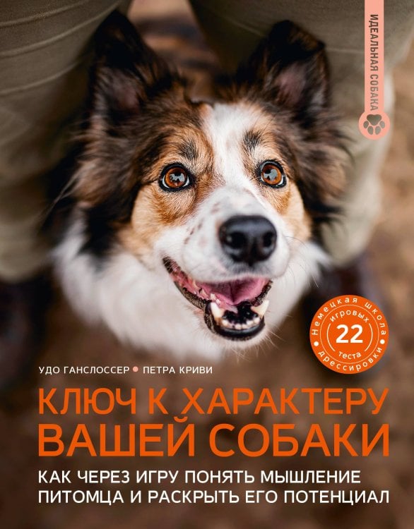 Ключ к характеру вашей собаки. Как через игру понять мышление питомца и раскрыть его потенциал