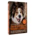 Ключ к характеру вашей собаки. Как через игру понять мышление питомца и раскрыть его потенциал